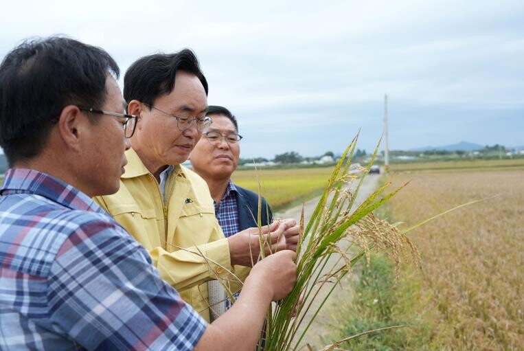 나주시, 벼 깨씨무늬병 피해 농가에 복구비 12억 6천만 원 지원