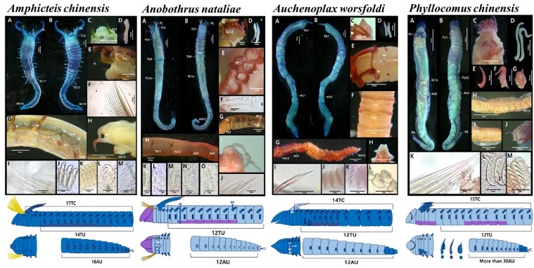 전남대 스마트수산자원관리학과, 한 해 7종 신규 해양생명자원 발굴 ‘쾌거’