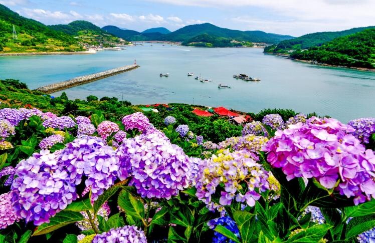 고흥군 쑥섬, 문체부 로컬100 선정... 관광 브랜드 경쟁력 강화