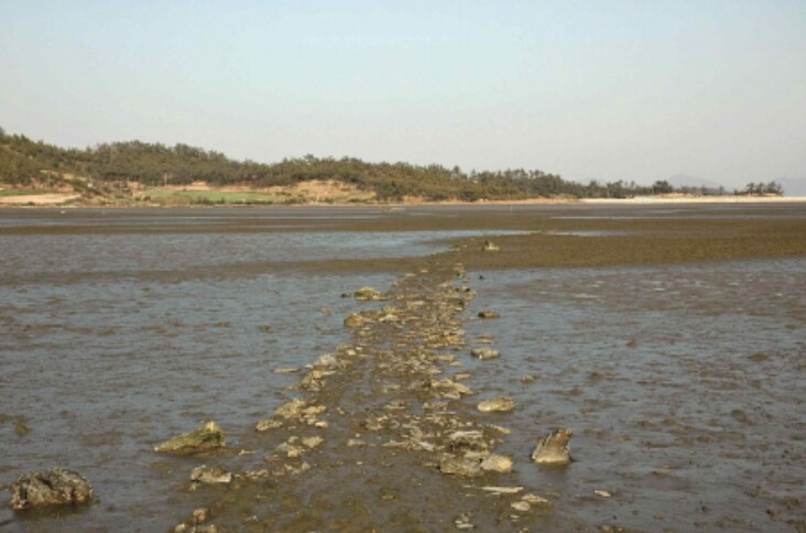 국가유산청, '물때' 국가무형유산 신규 종목 지정