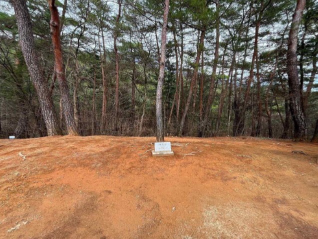 국가유산청, 단종과 정순왕후 서사 '꽃'으로 풀어낸 들꽃 식재 행사와 고유제 개최