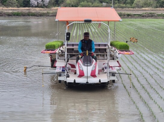 신안군, 조생종 벼 품종 선발 실증 첫 모내기 완료!.."지역 맞춤형 조생종 품종 선발 기대"