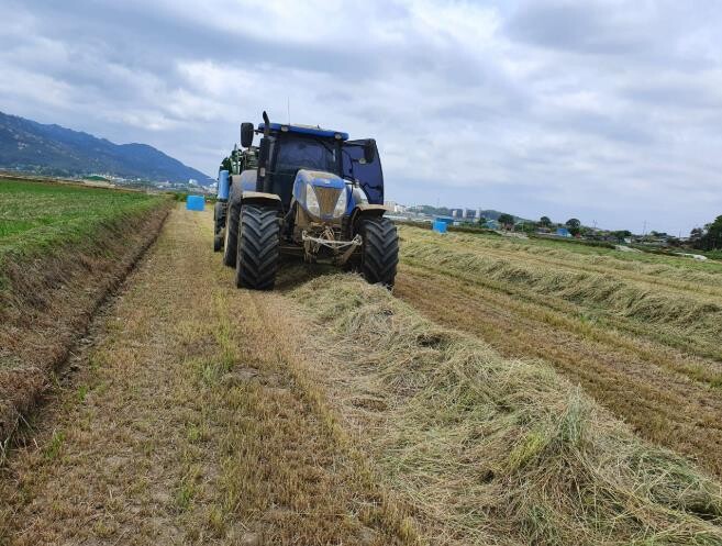 전남도, 축산농가 조사료 수급안정에 1천29억 지원