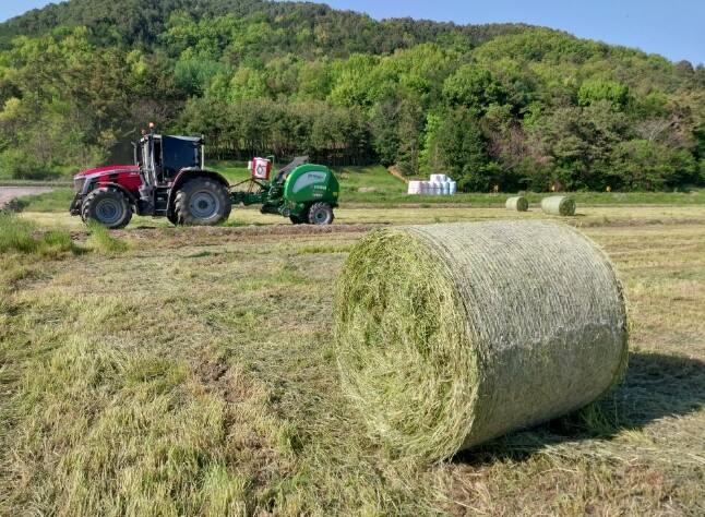 강진군, 조사료 비닐값 상승 대응 6천만 원 긴급 지원