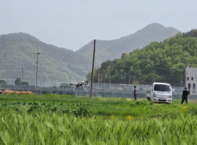 장흥군, 맥류 붉은곰팡이병 ‘주의보’…적기 방제 당부