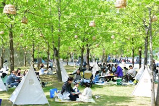 찬란하게 빛난 담양대나무축제, 5일간 빛과 다양한 체험으로 관광객 ‘북적’