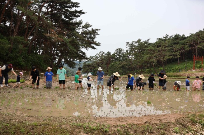 국가유산청, 탄신 481주년 기념 이순신 장군 묘소에서 모내기해요!