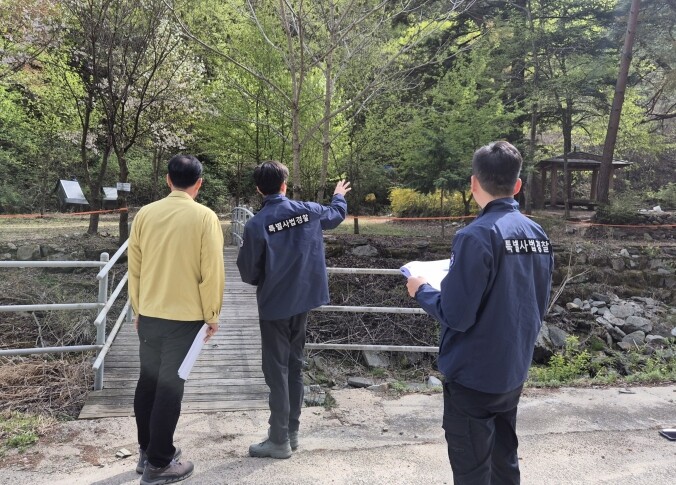 산림청, "돈벌이용 산림 훼손 무관용 원칙"··· 약용수 불법 채취 엄단