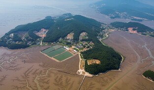 섬 생물다양성 평가체계 구축으로보전 우선 지역 선정 기반 마련