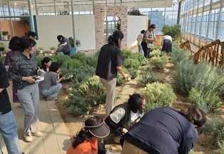 전남광주통합특별시, 색-향-촉 오감으로 배우는 치유농업…농기센터 ‘허브 큐레이터’ 인기