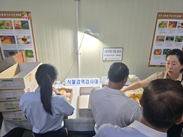 전남광주 농수산식품 수출, 7월 누계 ‘역대 최대’