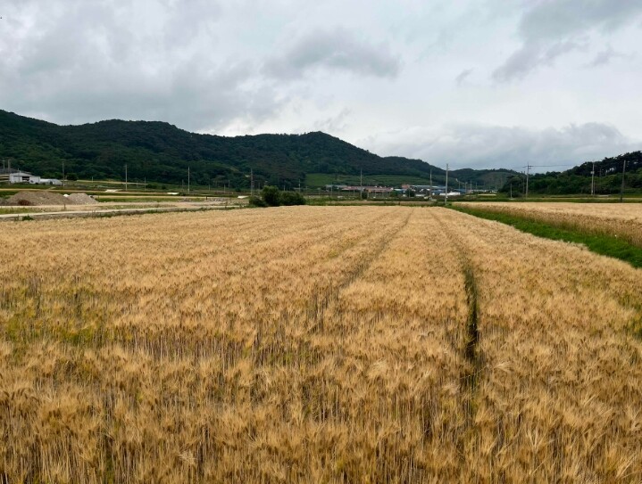 영광군, 기술보급 블렌딩 협력모델 공모 선정…사업비 10억 원 확보